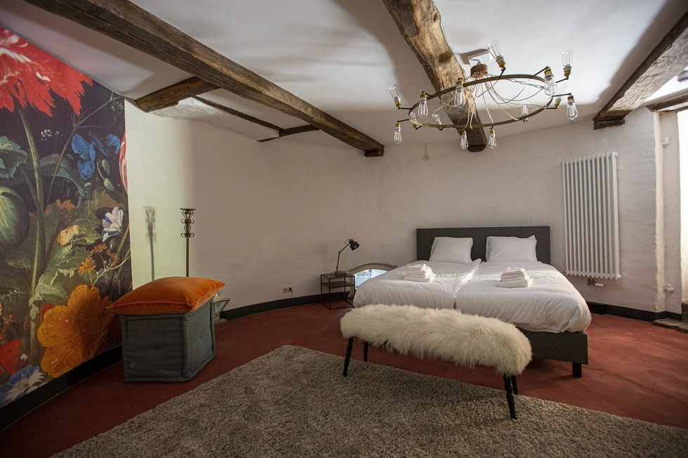 Kasteel Hackfort Suite Freule Clara - Baakseweg 8B - Vorden