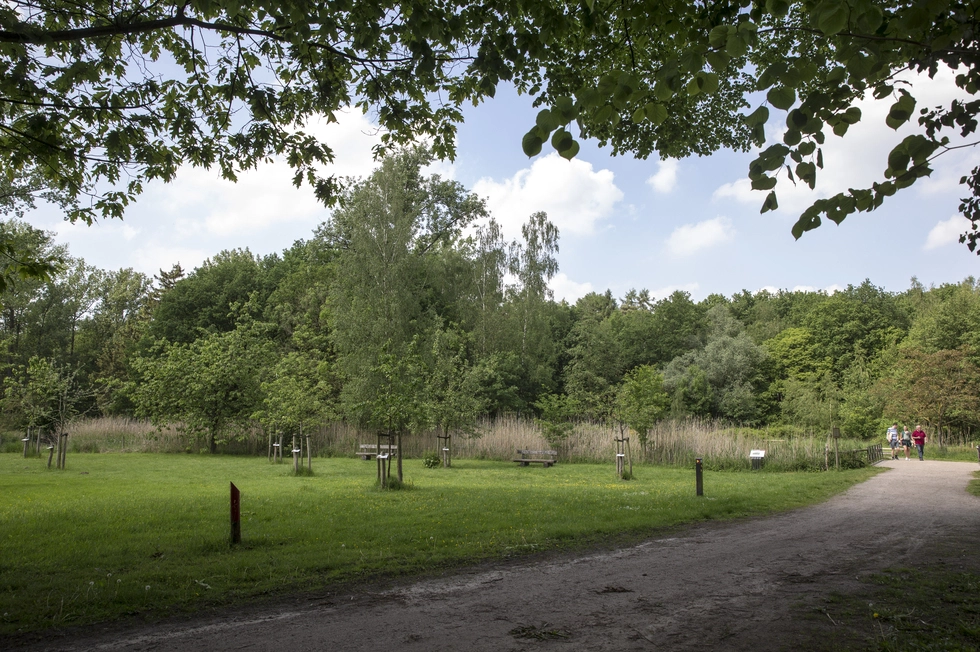 Ursulahof - Leumolen 3 - Nunhem