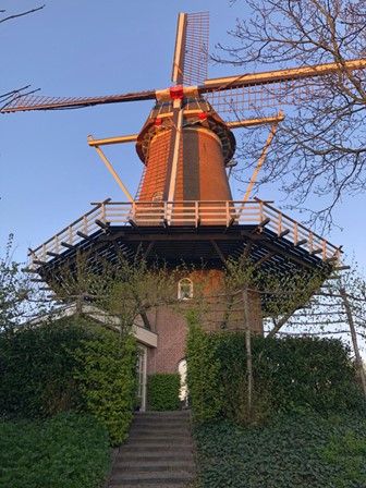 De molen van Maurik - Molenstraat 22 - Maurik