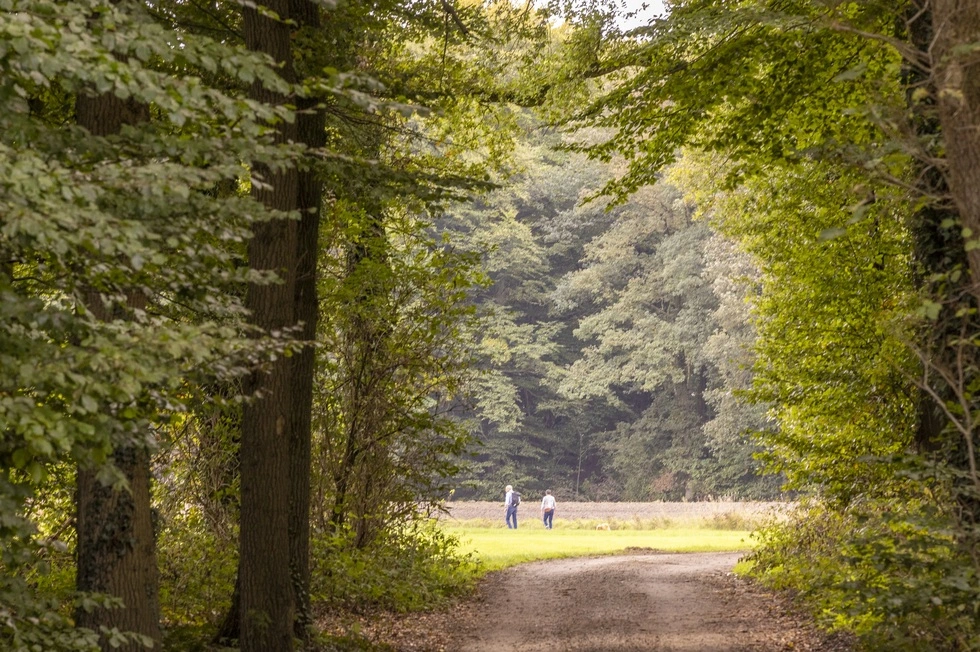 Batsboer - Hooidijk - Vasse