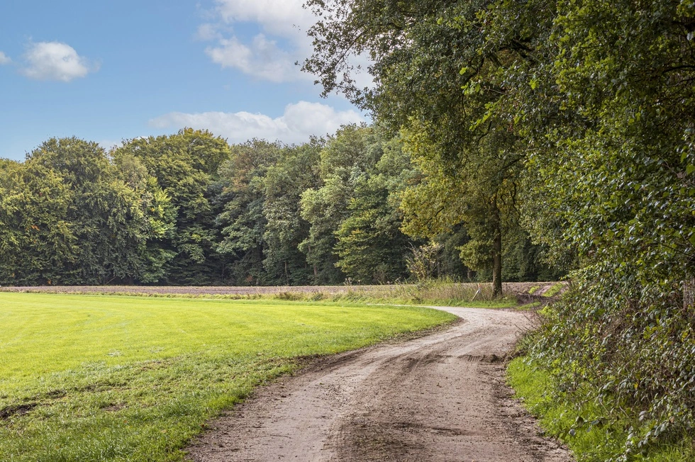 Batsboer - Hooidijk - Vasse