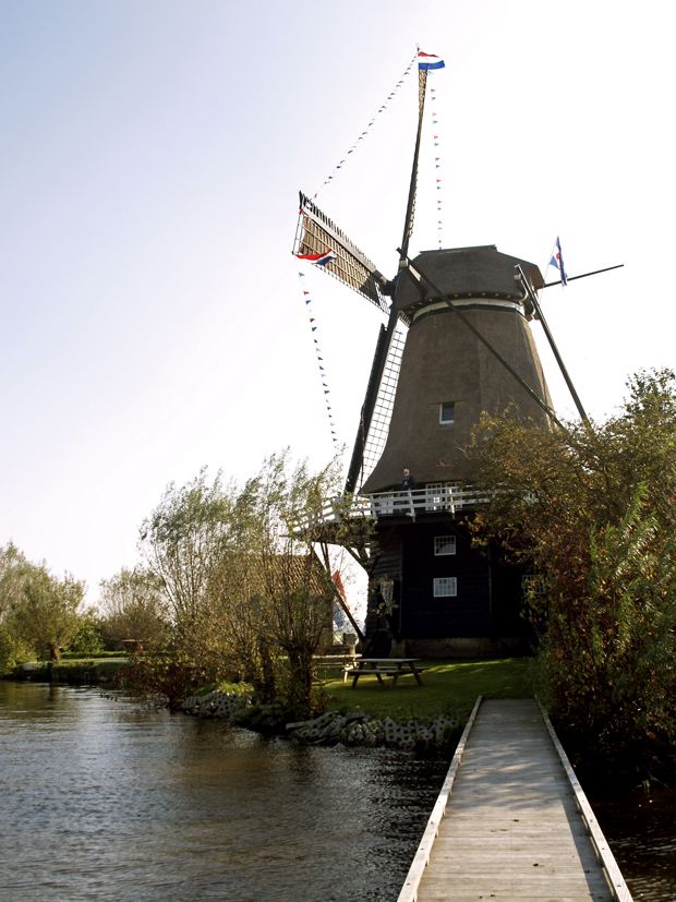 De Langweerder molen - Boornzwaagsterdijk 3 - Boornzwaag