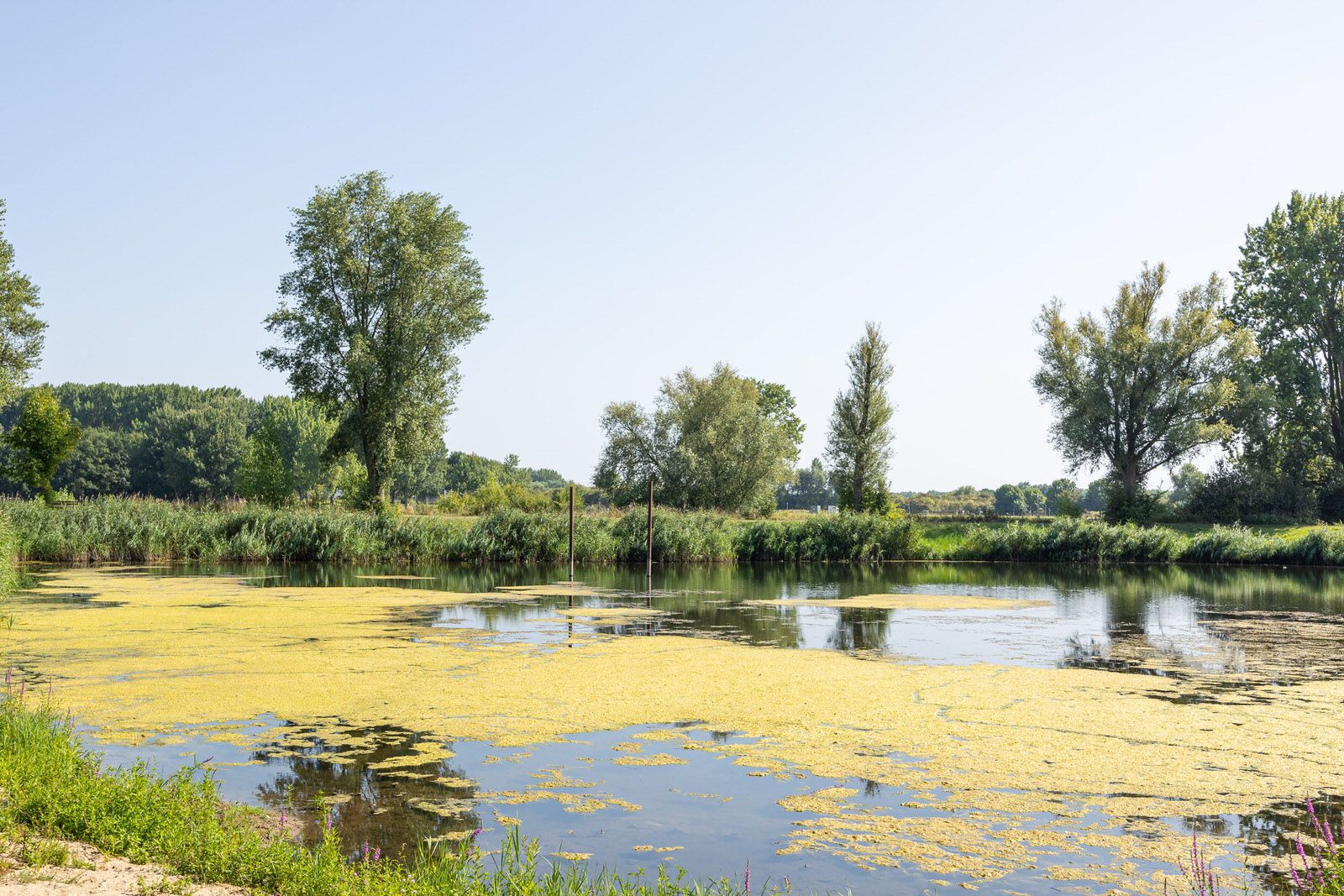 Koningin Wilhelminastraat 4 - Hedel